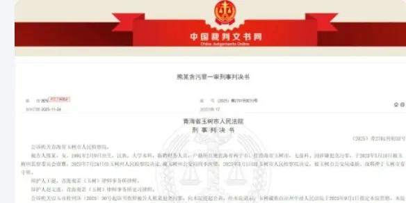 90后临聘财务4年骗走1788万！这数字看得人头皮发麻，就一个临时岗位，咋能这么