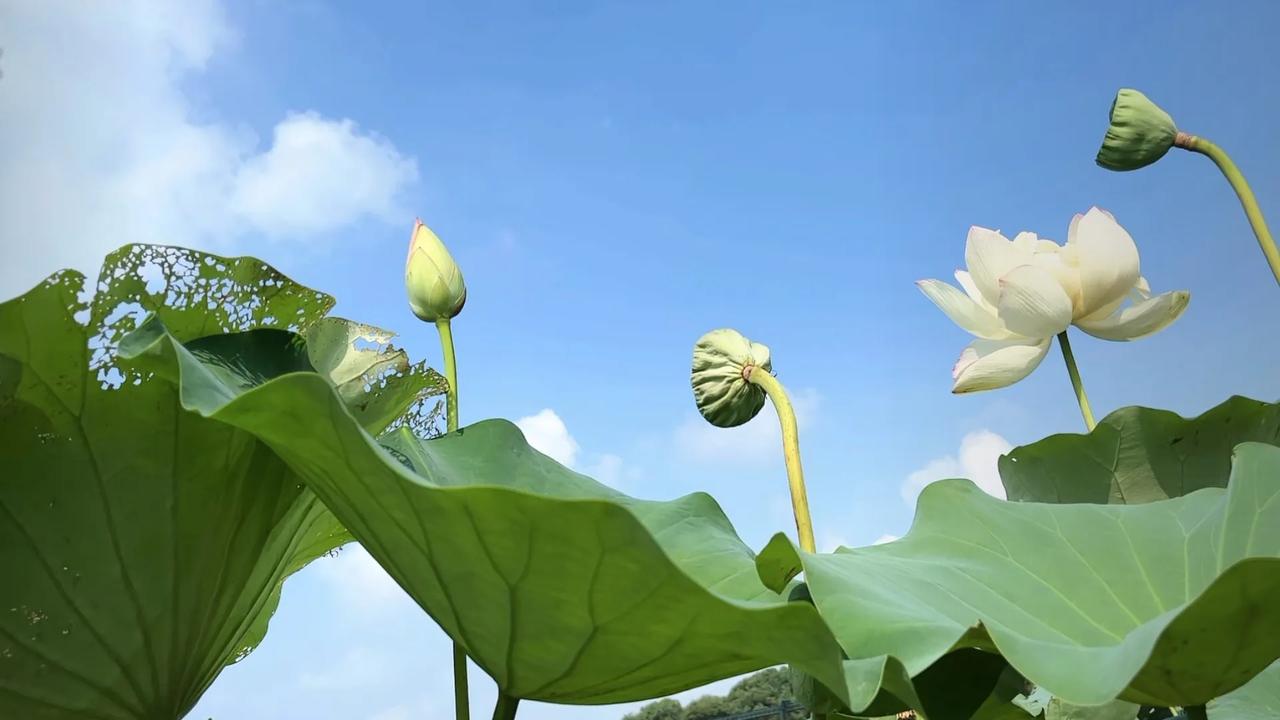 停在路边时，拍一张车和远处风景的合影，比如车旁是漫山野花，或是夕阳下的湖面；