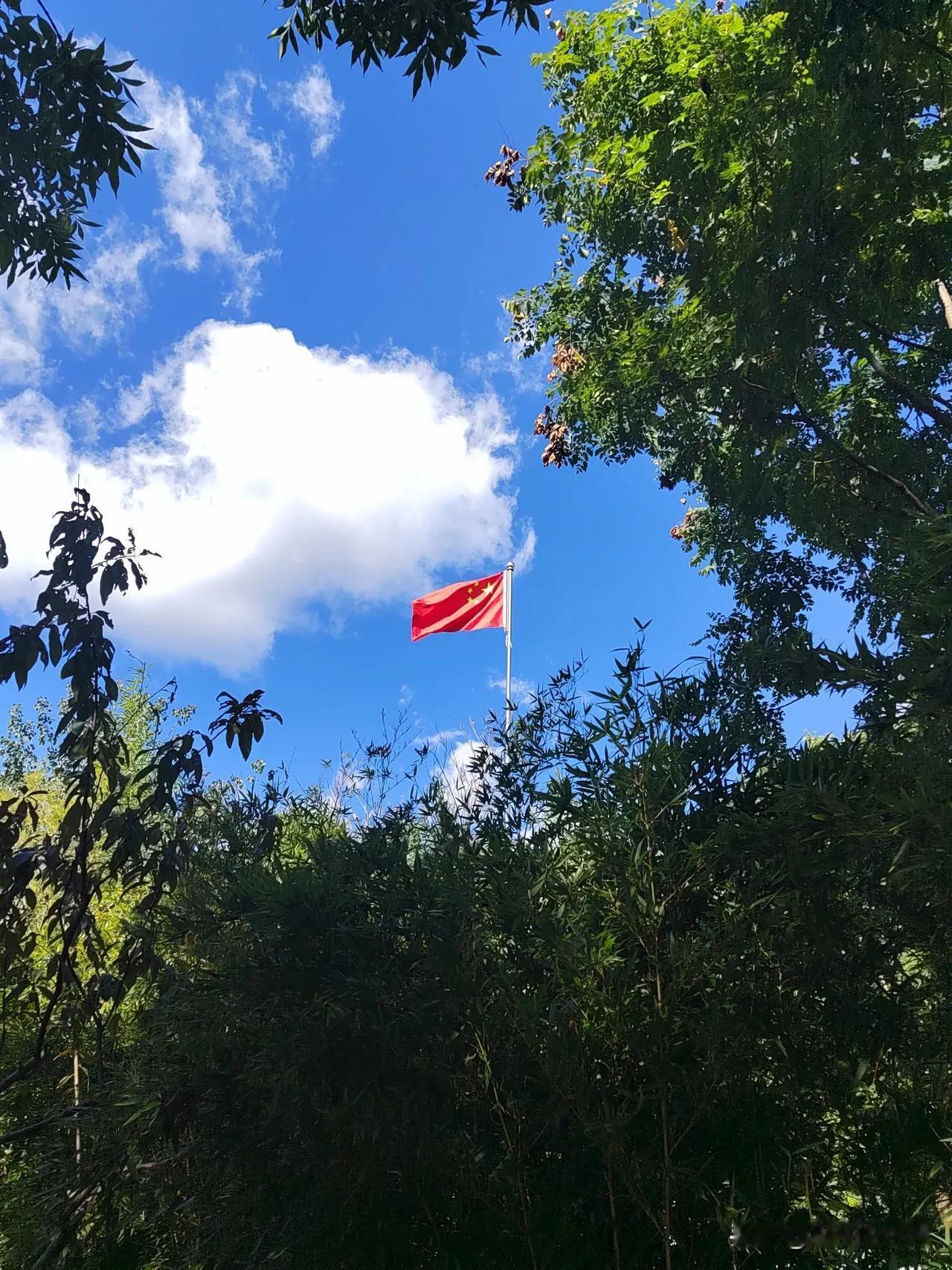 #国庆大家每人一句，祝福咱们新中国#🇨🇳🇨🇳金秋送爽，丹桂飘香，我们迎来
