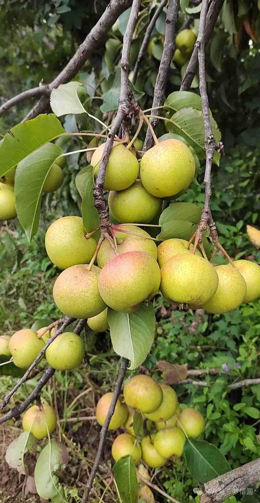 我的今日状态：😁轻松愉快
我这里的天气：☀️晴天