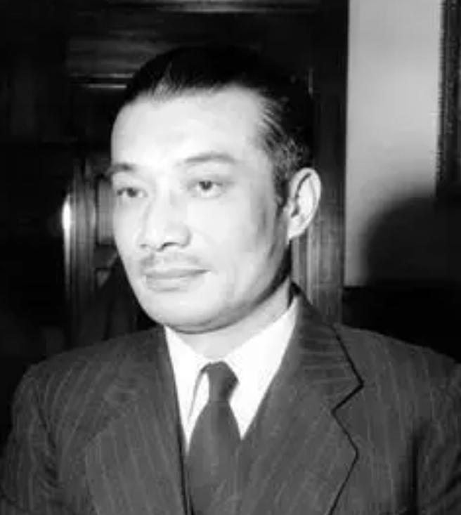 1949年，梅汝璈拒绝南下，毅然选择留在北京。1966年后，梅汝璈经历了诸多磨难
