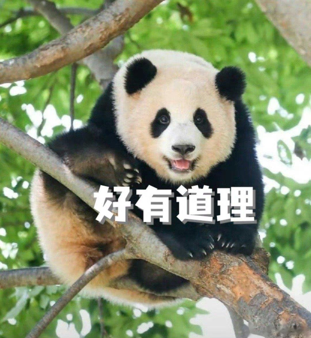 #如何花最少钱成为第一眼美女#与众不同，独一无二，才能花最少的钱，成为第一眼美女