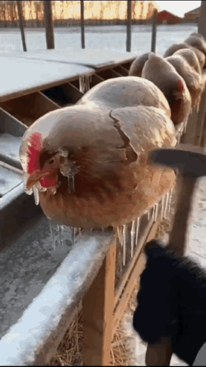 这还能活得了？