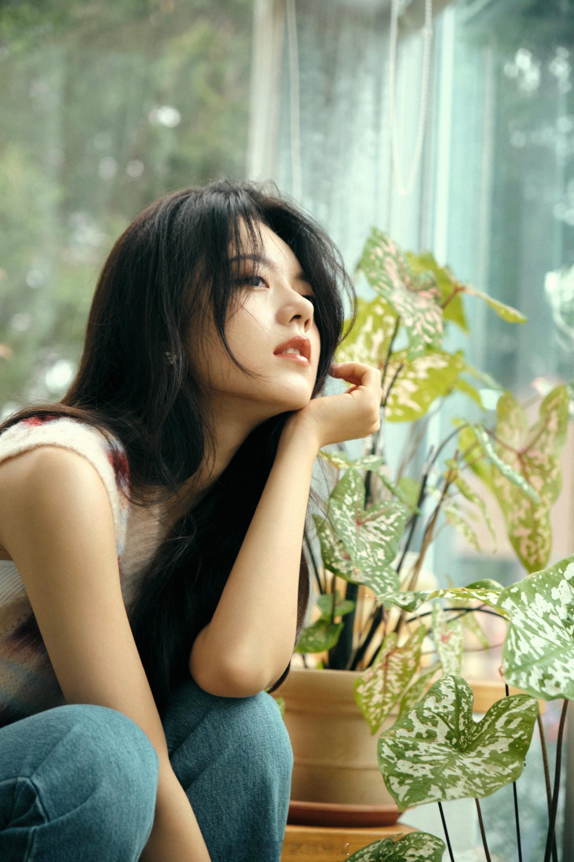 赵今麦童话森林花房美图 ​​​