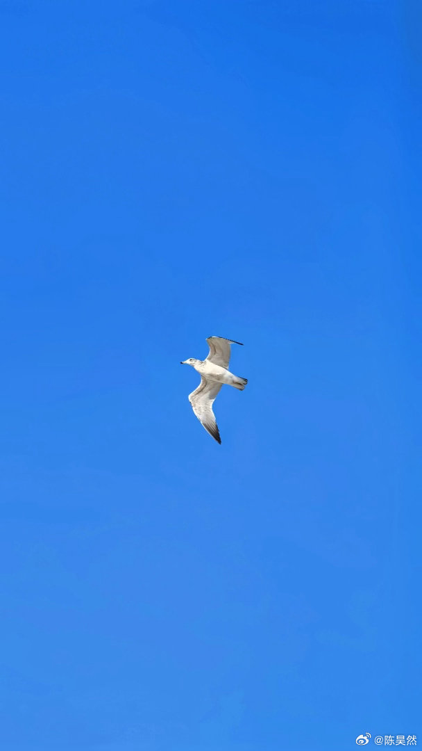 ฅʕ•̫͡•ʔฅ 🌥️ 𓏑 𝙼𝚢 𝚕𝚒𝚏𝚎🫧格局打开 你会发现