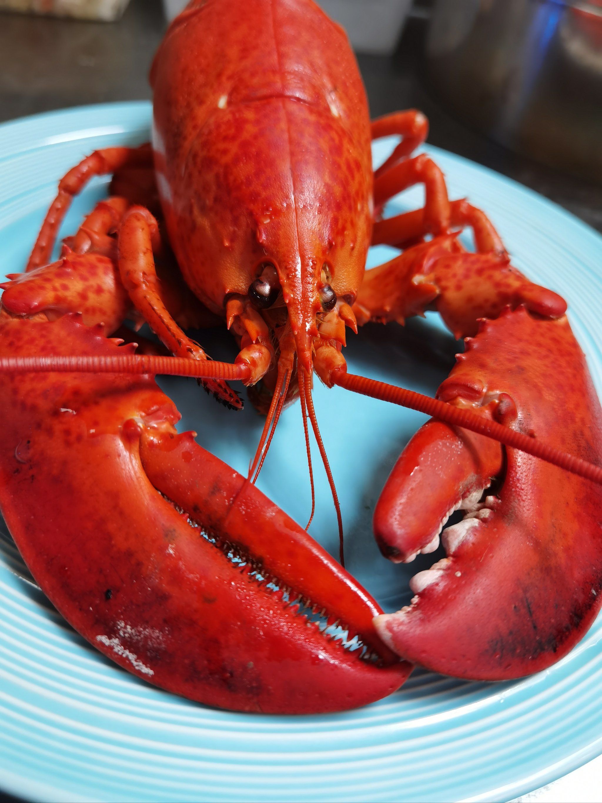 都太有钱了，全民研究龙虾，我问下是清蒸还是红烧好吃啊？