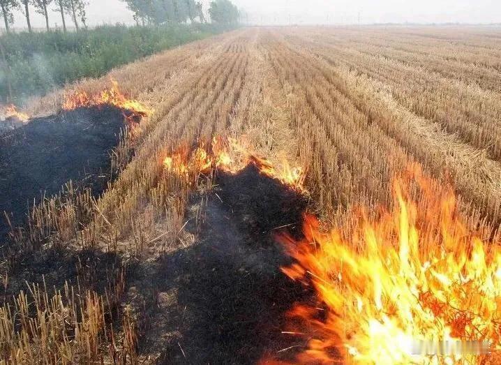 秸秆禁烧与环境排污
大气污染是由焚烧秸秆造成的？
全国雾霾是由焚烧秸秆造成的？