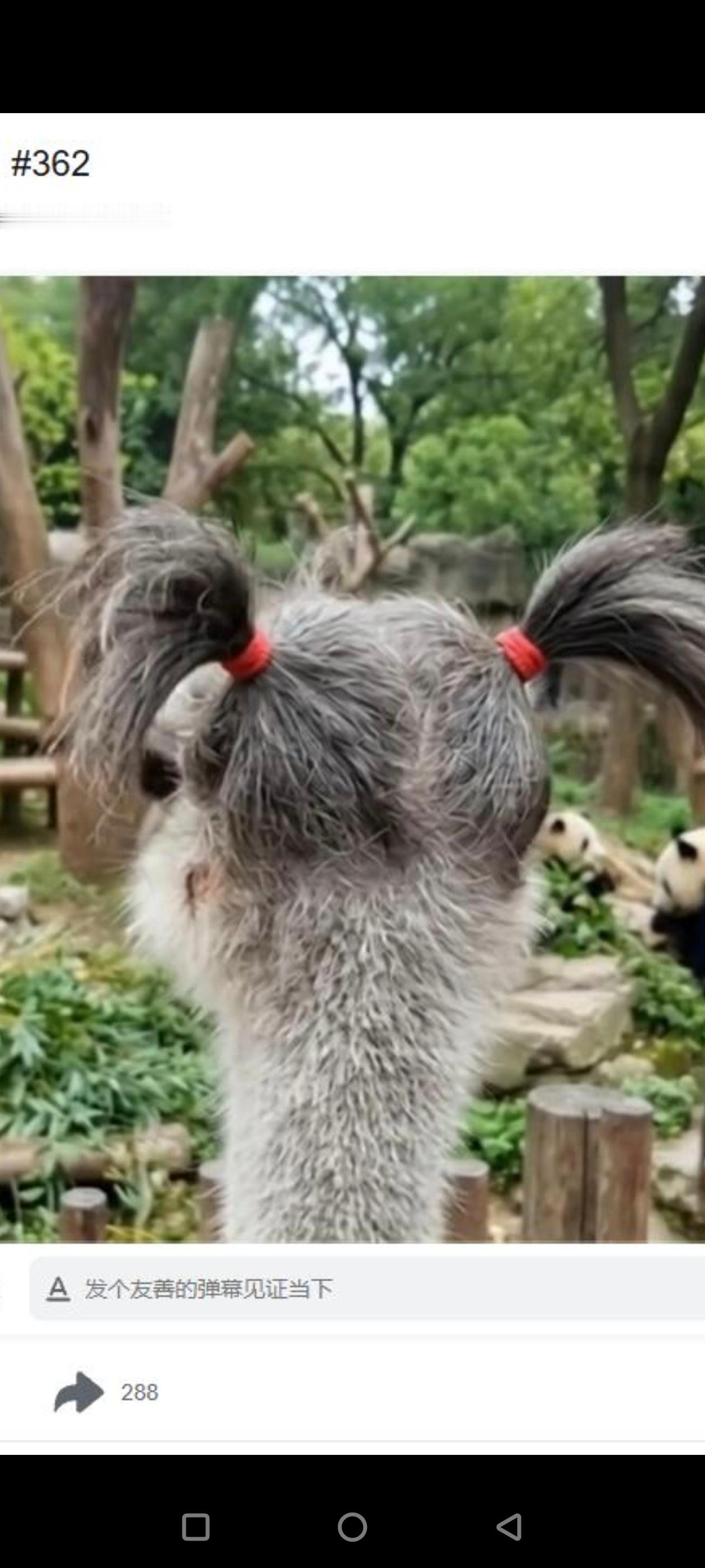 刚捡到一张图，看群里人笑的止不住，但TM没人说是咋回事，这是啥意思？ 