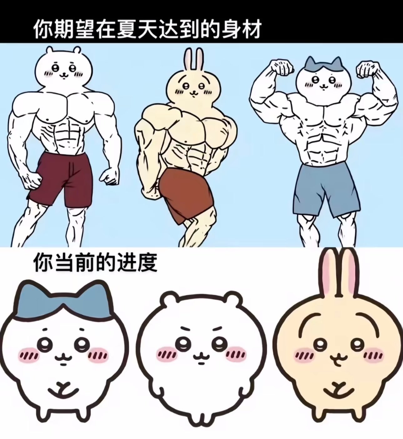大失败meme ​​​