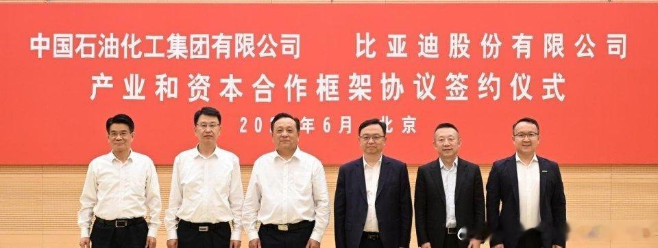 比亚迪携手中国石化深化战略合作真正的双方各取所需。