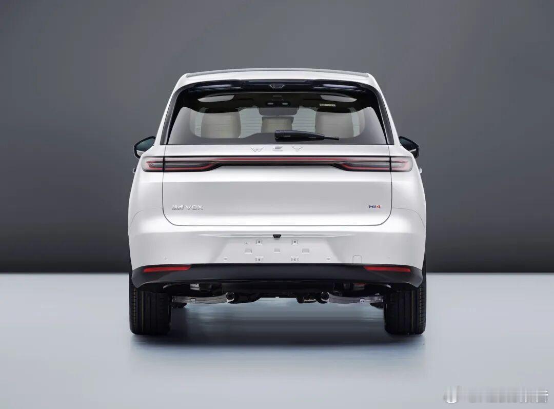 魏牌V8X申报4月10日，在工信部最新一期新车申报名录中，魏牌V8X申报。车身尺