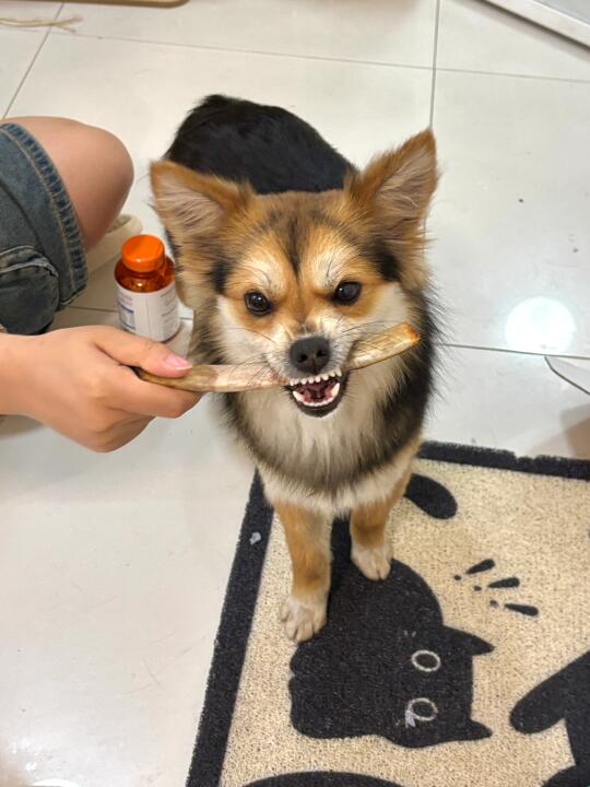 看了又看满意的不得了