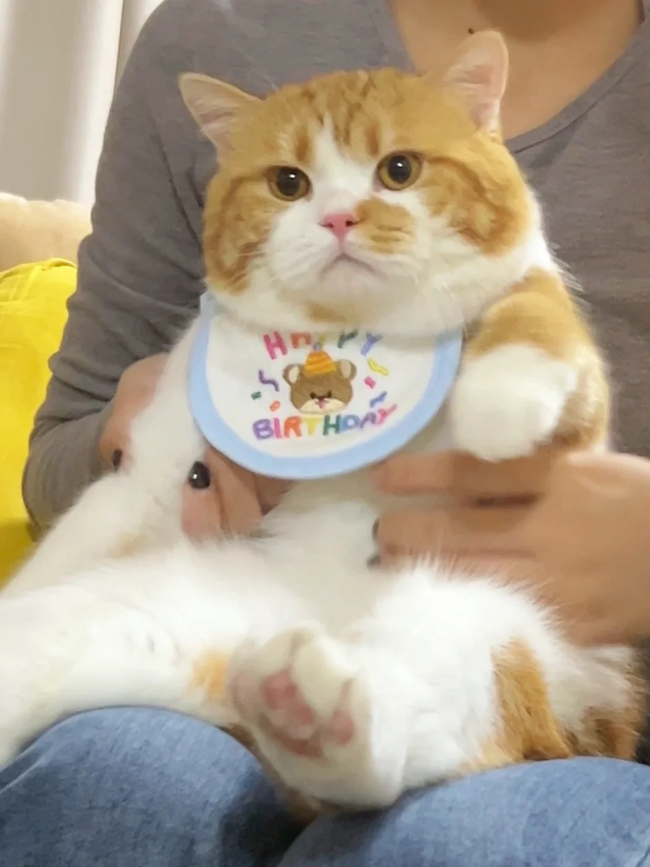 儿子长这样 能面试童模吗？