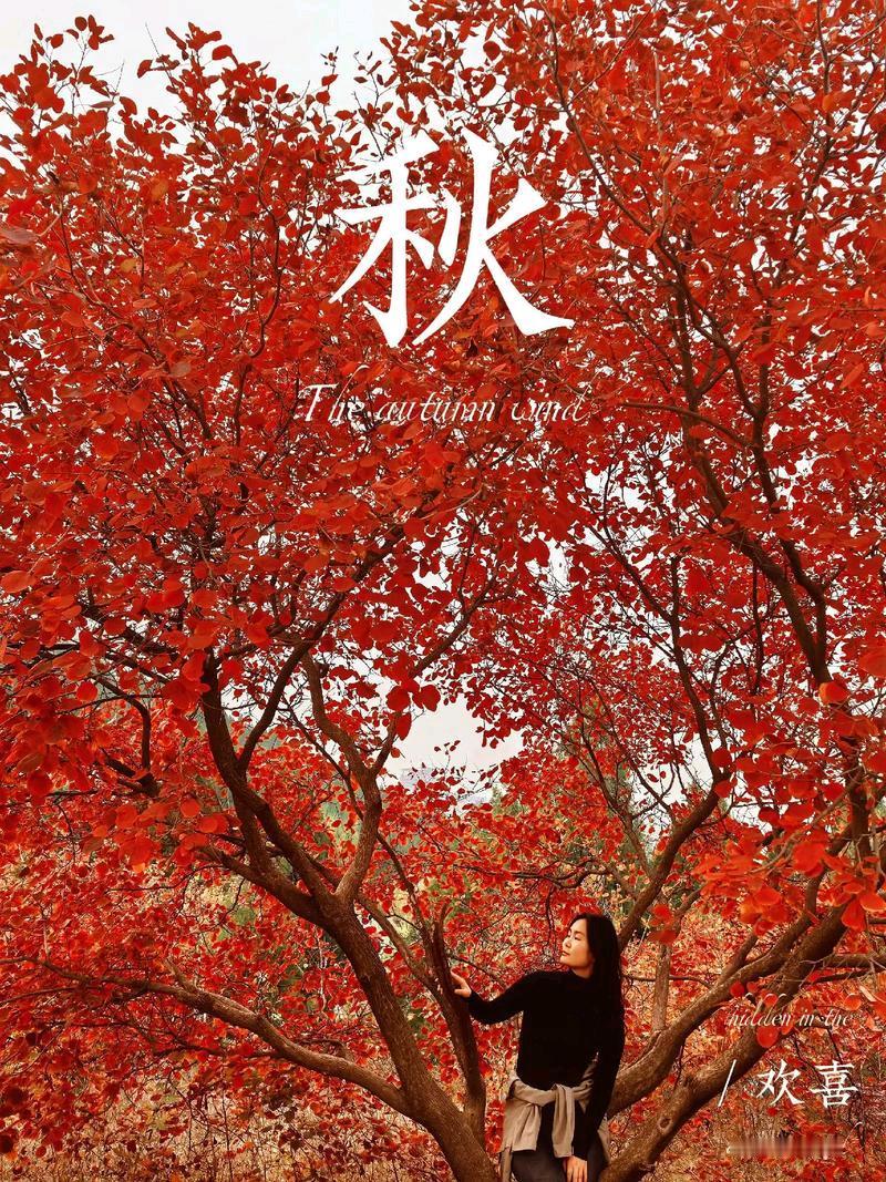 上联:雪舞寒冬添画韵，荷风求下联霜染深秋激诗情