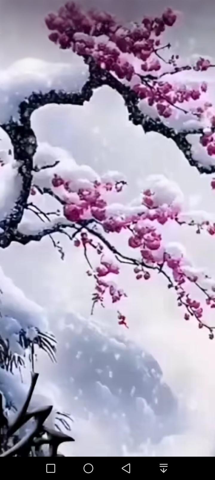 雪是最慷慨的留白，裹住虬枝，覆了苔痕，连风都浸在素白里轻了脚步。偏有梅不肯同这天