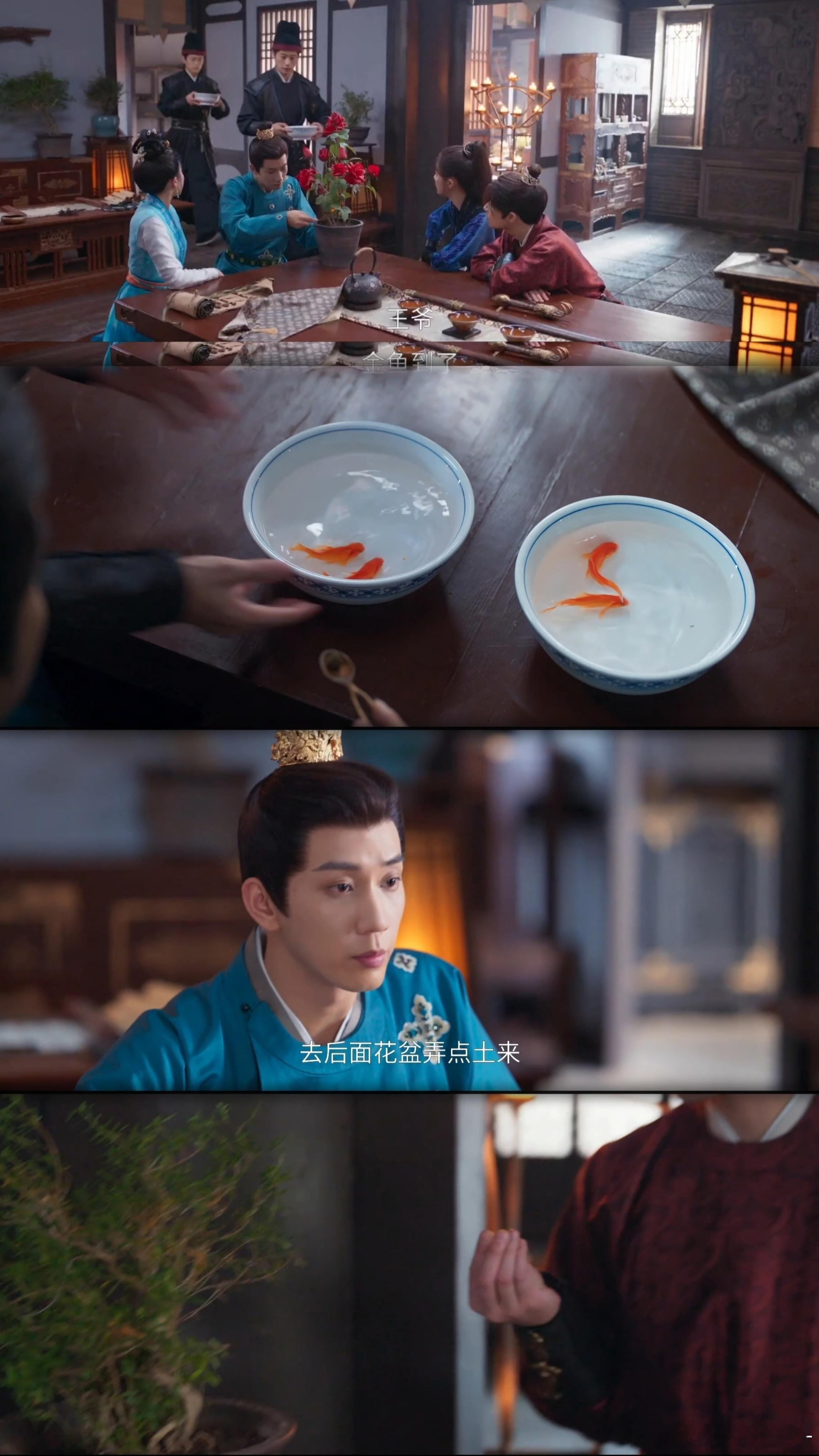 毒皇后的苹果传给了王子奇 王子奇与萧瑾瑜的默契配合让人羡慕不已，果真是最佳搭档！