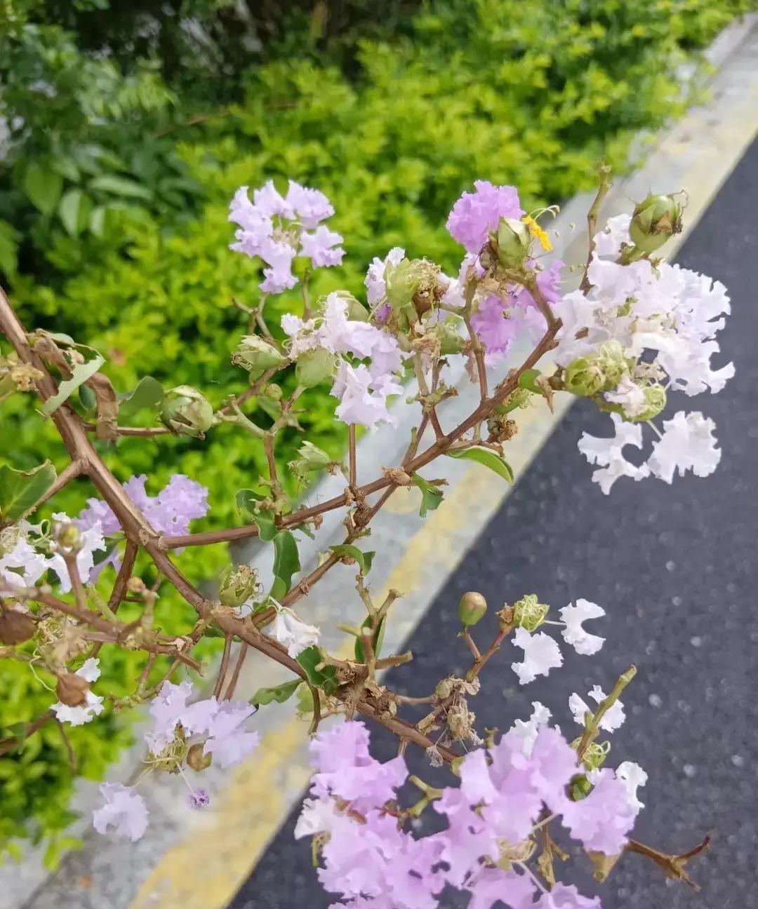 中老年人搭伙或再婚过日子，最重要的就是互相生理性喜欢。

年轻人追求爱情因为颜值