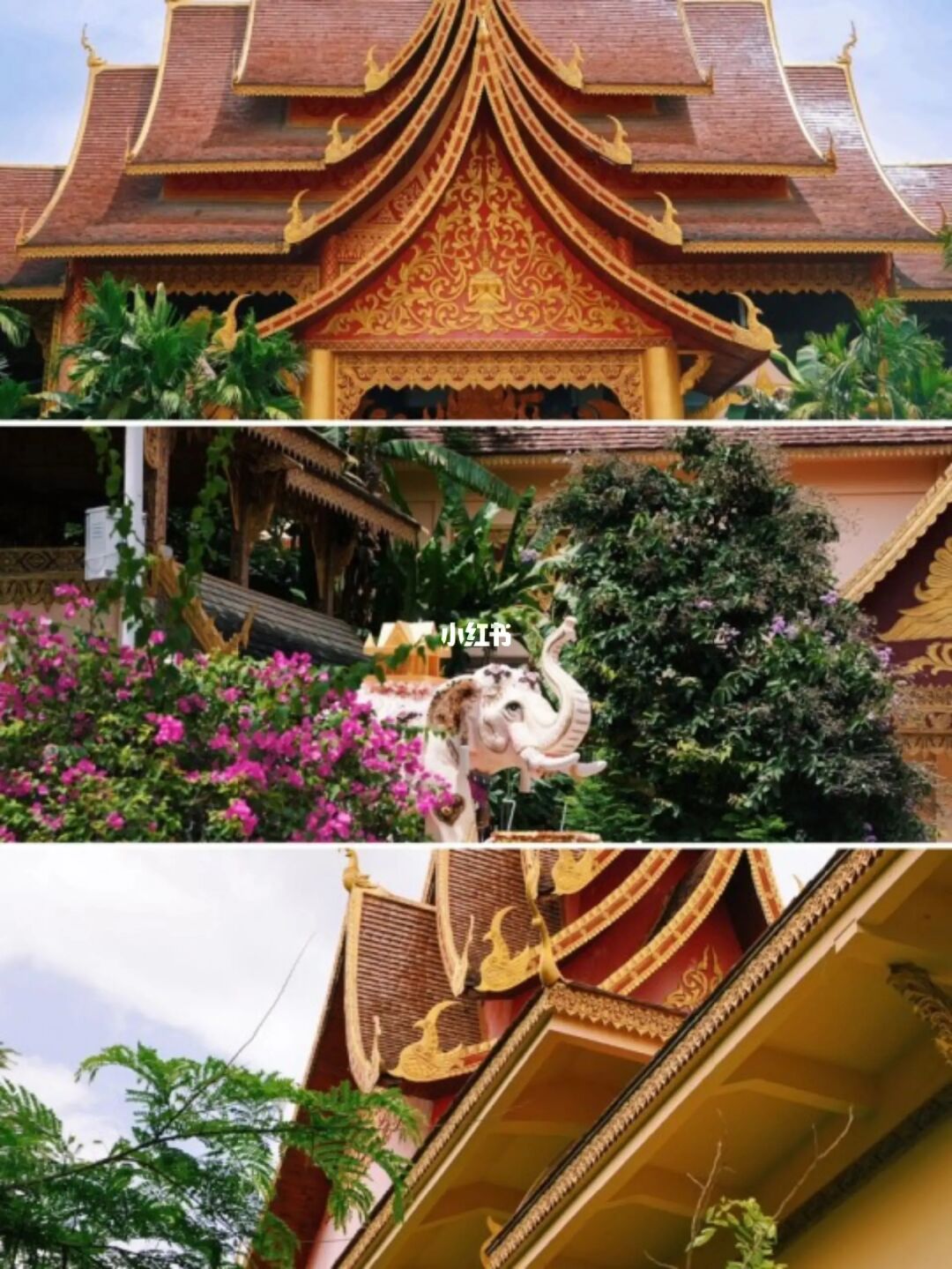 西双版纳旅游攻略🔥第一次去怎么玩好呢？