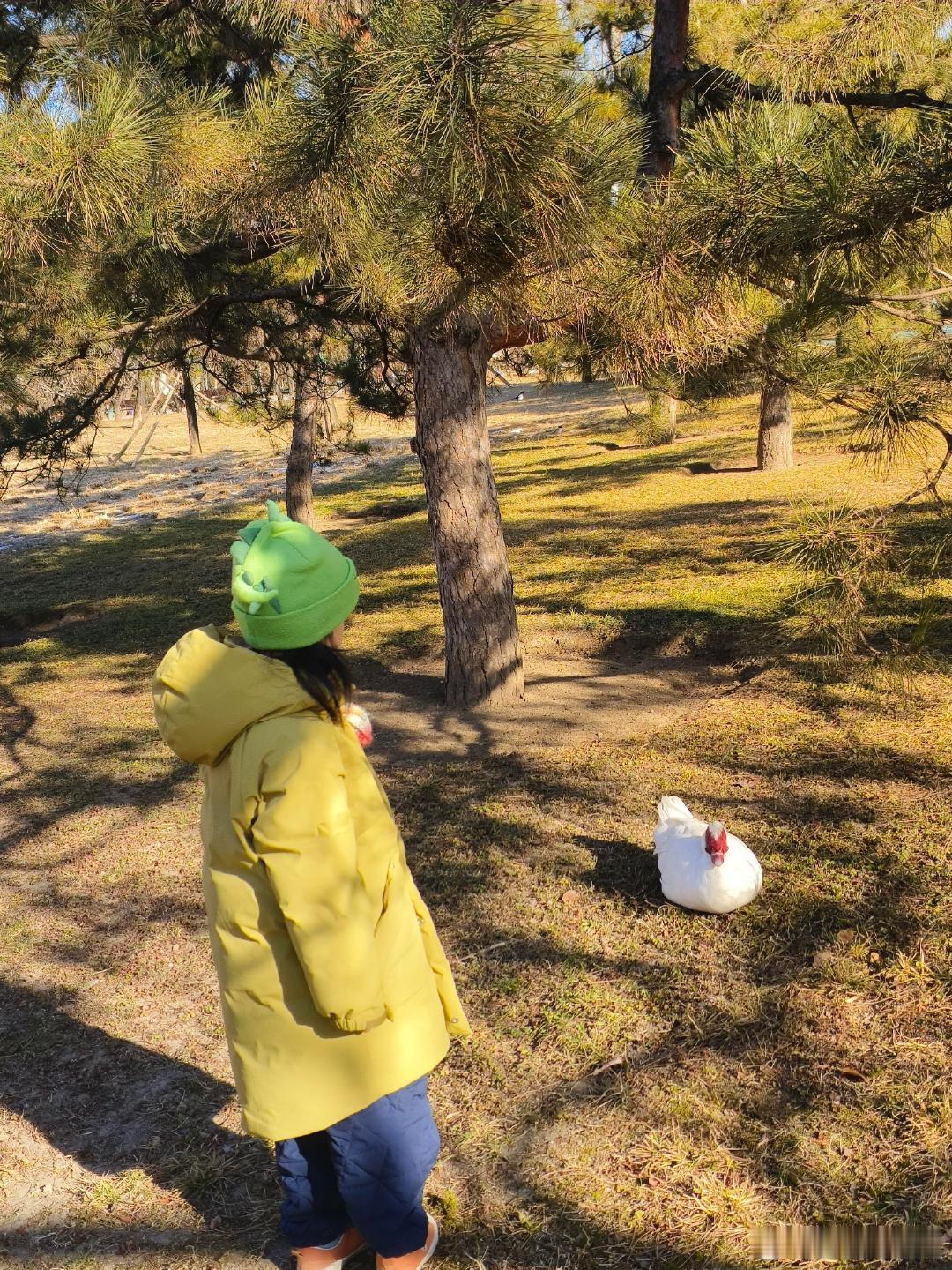 王传君齐溪4岁大女儿近照王传君齐溪大女儿长这么大了王传君齐溪大女儿长这么大了，幼