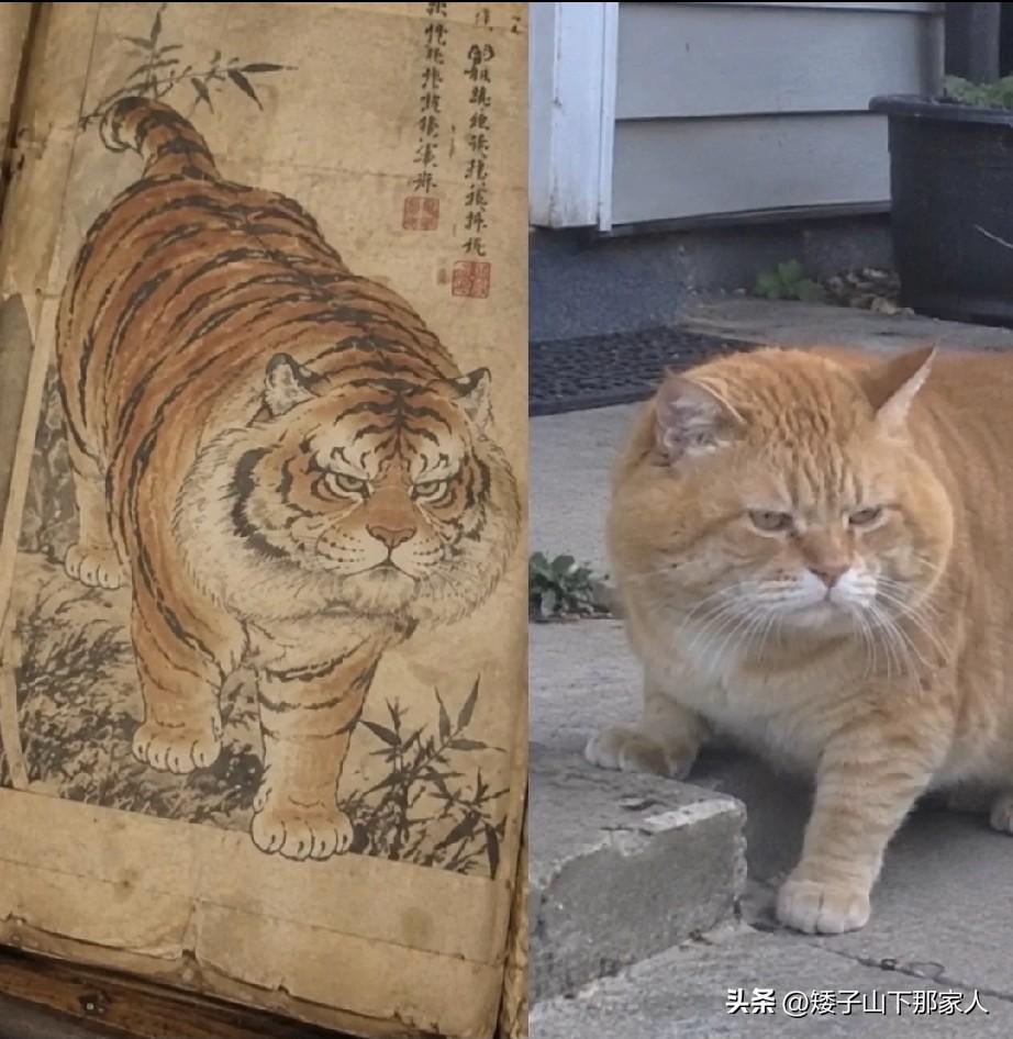 画的是虎，猫里猫气