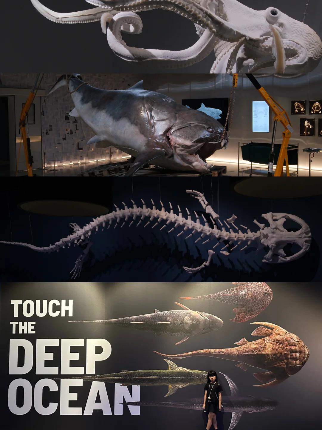 被深海远古生命震撼到了❗居然还在北京❗️