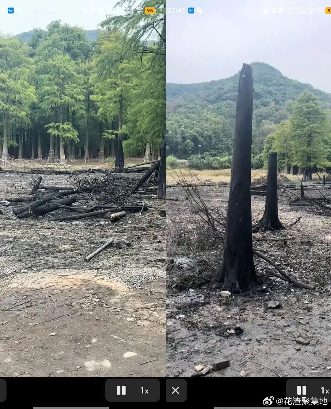 曝郭敬明剧组砍树烧树郭敬明剧组被投诉破坏环境 有网友爆料，百妖谱剧组被当地人投诉