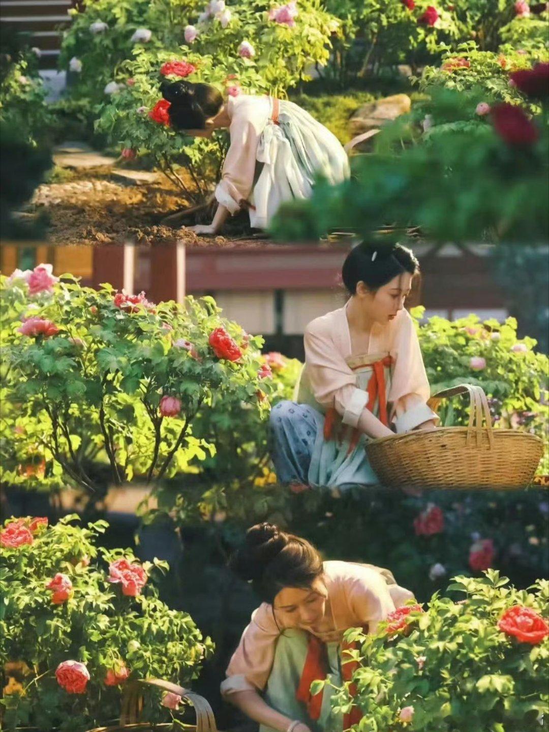 国色芳华绽放荧屏，山东牡丹经济火出圈！传统文化婚服造型惊艳众人，这才是文化赋能经