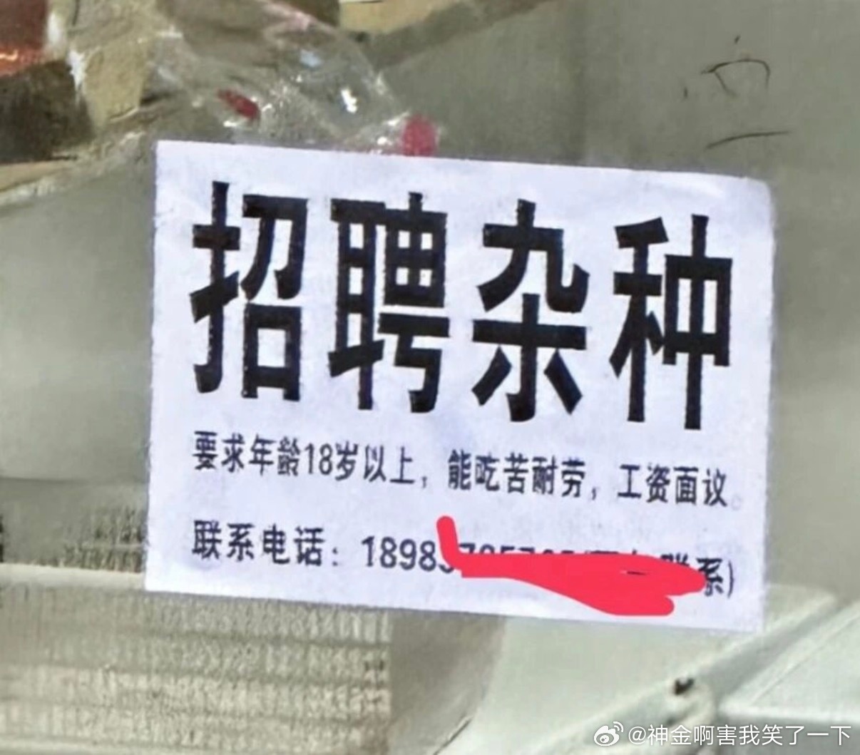 6095有点不是人了 