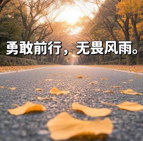 人生感悟：接纳坎坷，独自前行

付出，就不要后悔；失去，也不要遗憾。
没有一个人