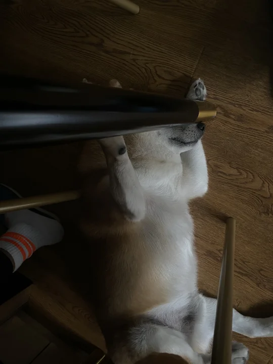 难道是上帝在我眼前遮住了帘