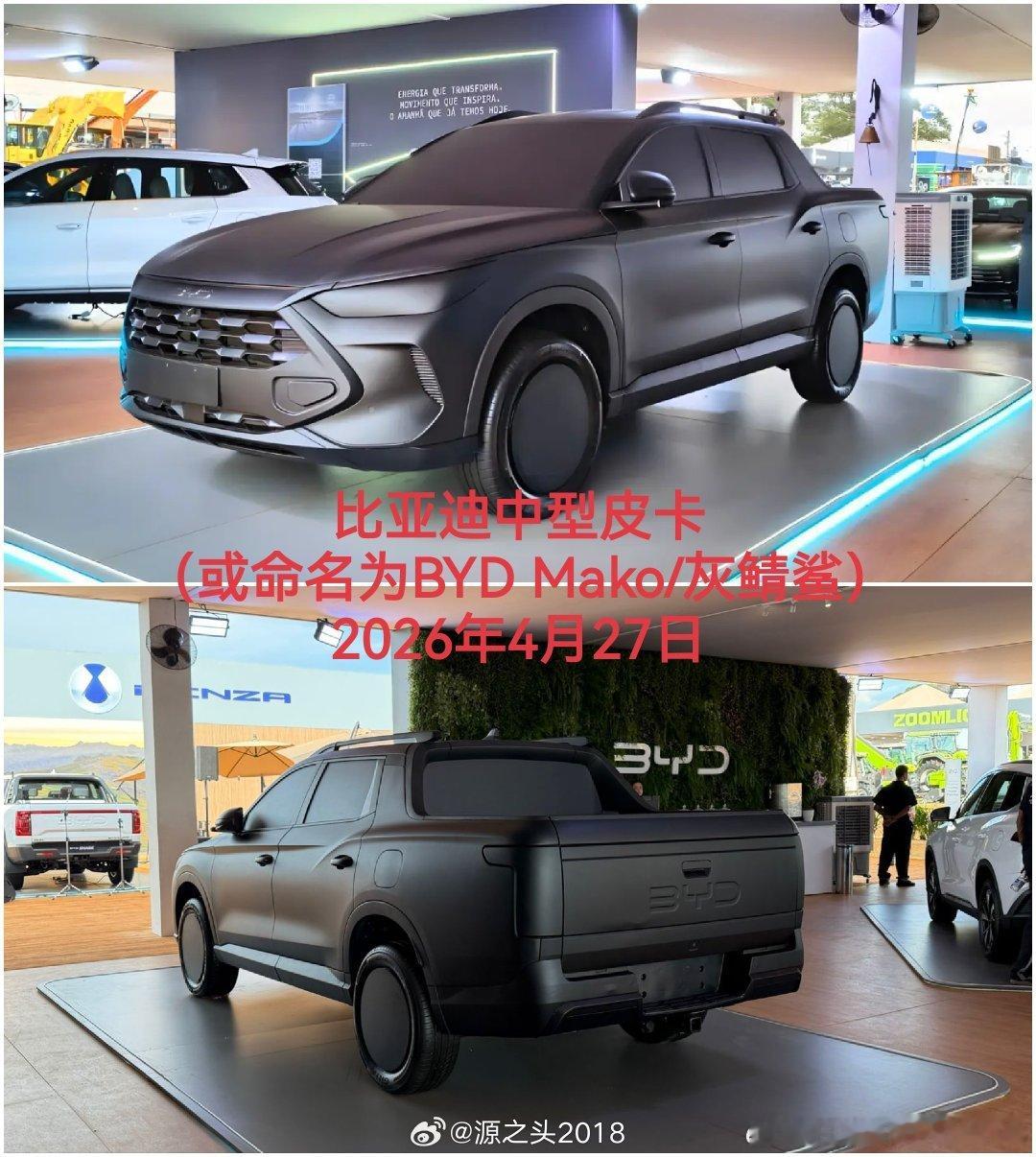 这新鲨鱼不就是唐的前脸嘛