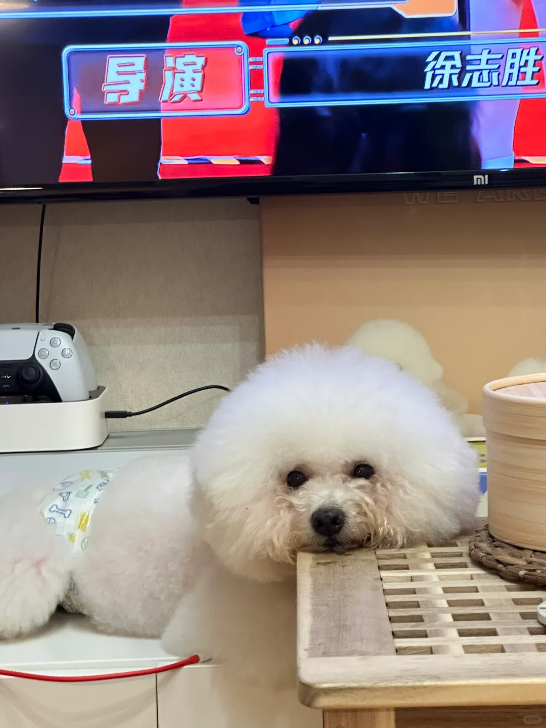 他好像知道自己超可爱的🥰