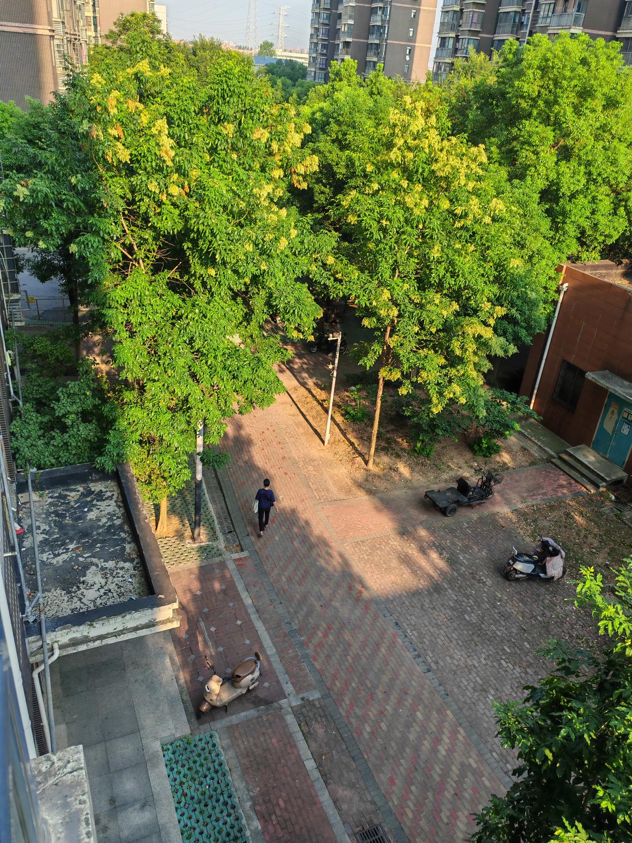 8月5日，武汉晴天转多云有阵雨，高温橙色预警，强对流黄色预警，最高气温超36度，