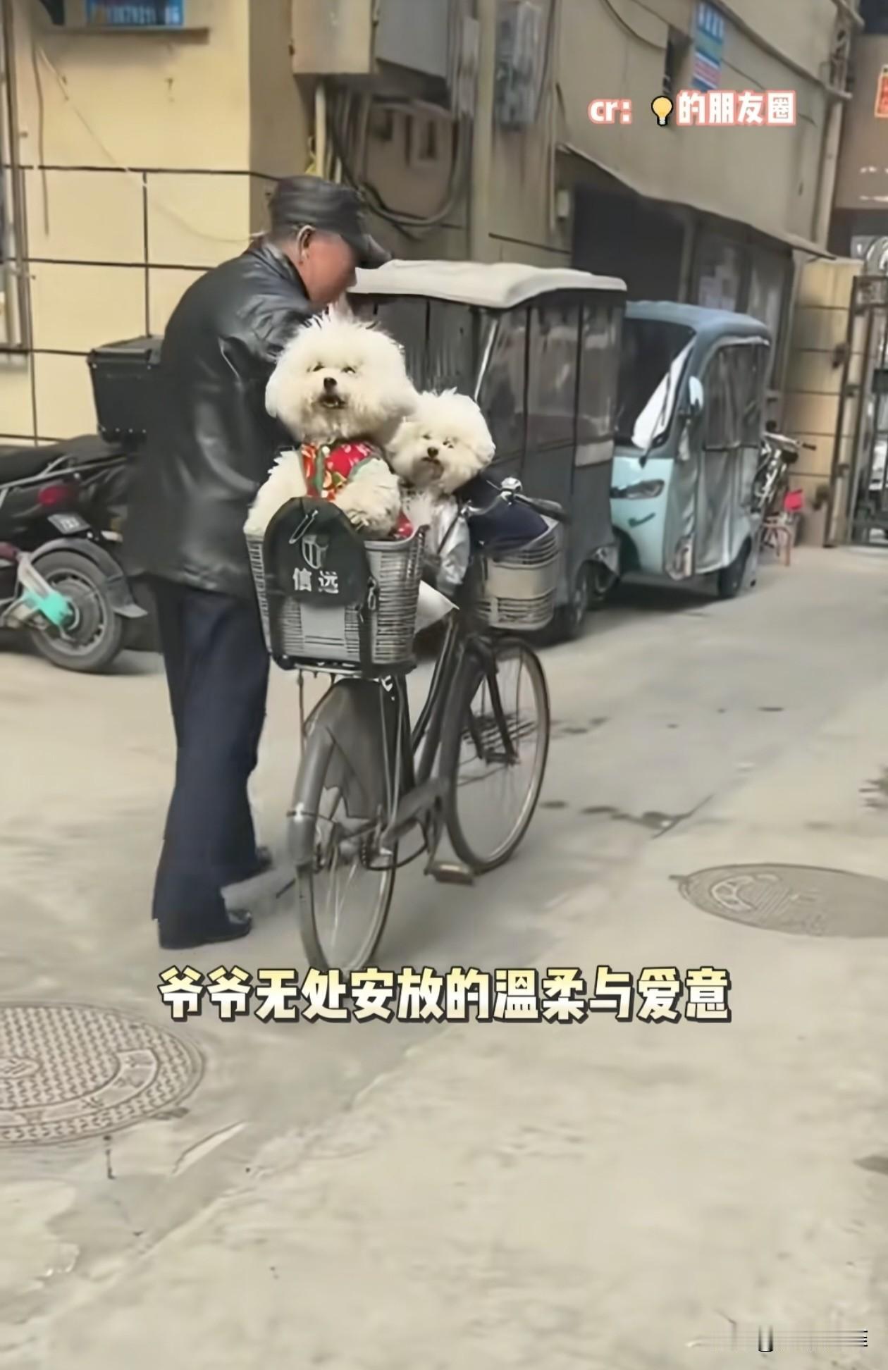 陕西，一位大爷失去陪伴多年的狗狗后，迟迟走不出低落的情绪，机缘巧合下，他主动帮对