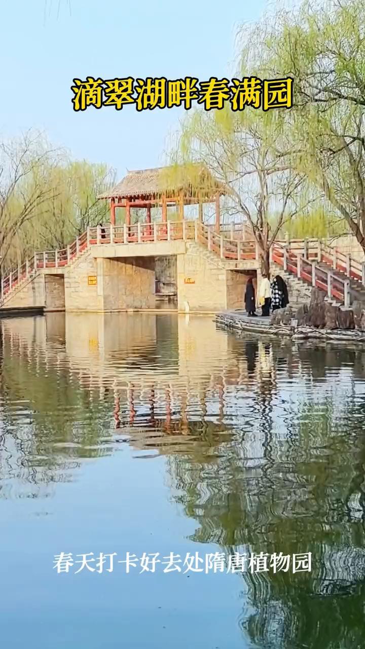 滴翠湖畔春满园，春天打卡好去处隋唐植物园。
