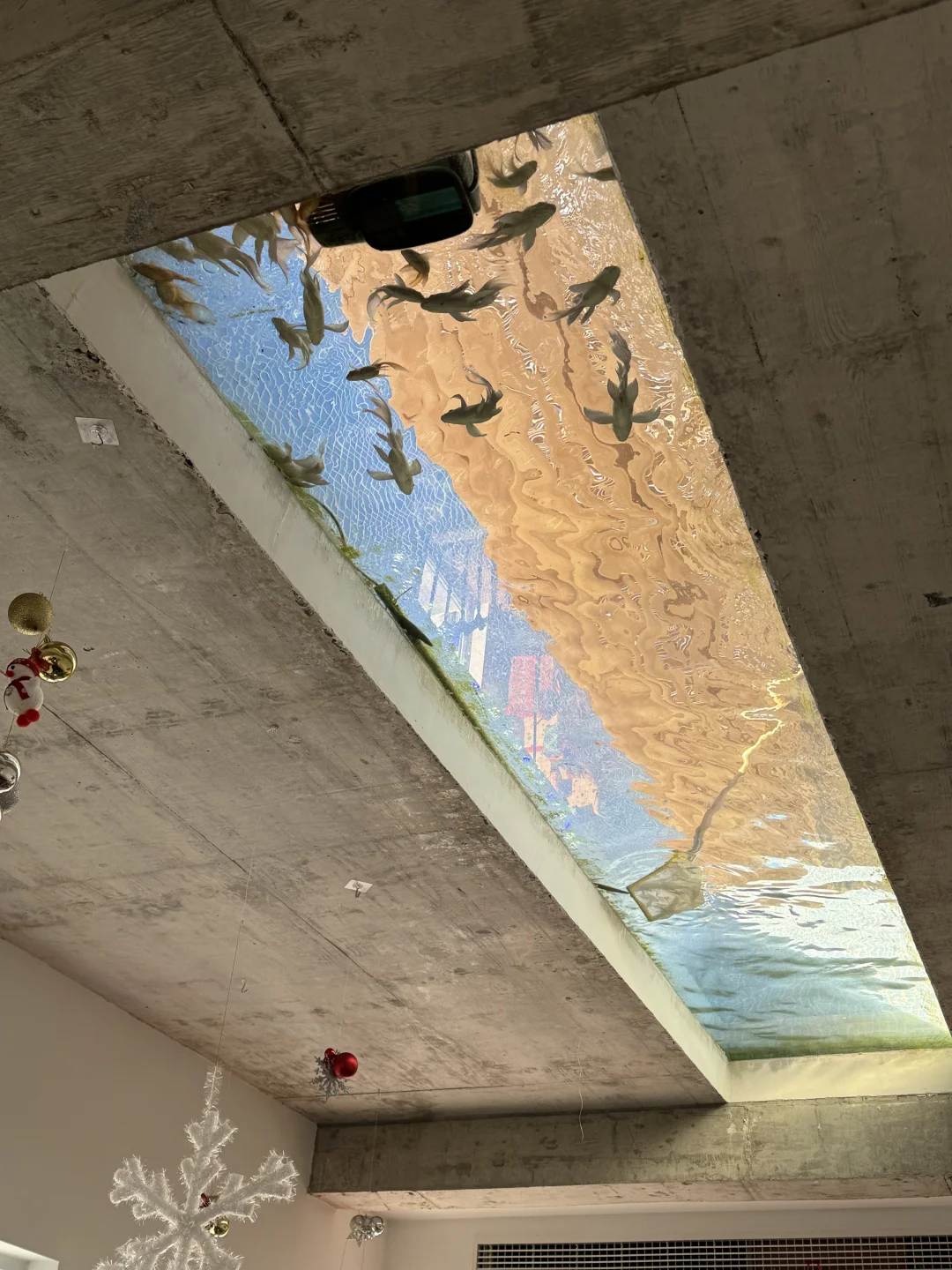 宁波新店｜半浦古村里的🛖屋顶金鱼咖啡馆🐠