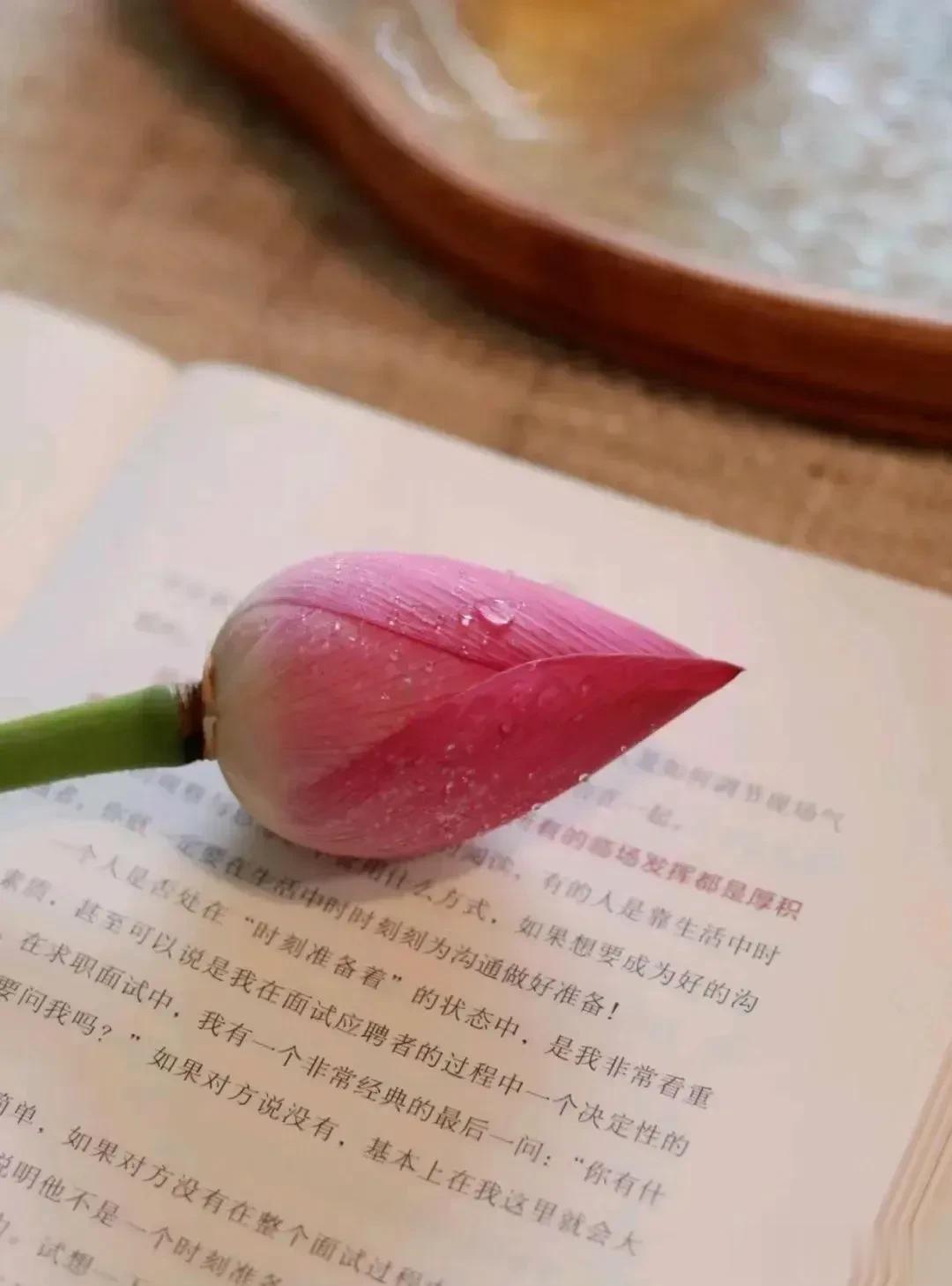 #如何评价你的2023年#岁月如梭，时节如流，岁月的脚步姗姗而来，慕然回首，不知