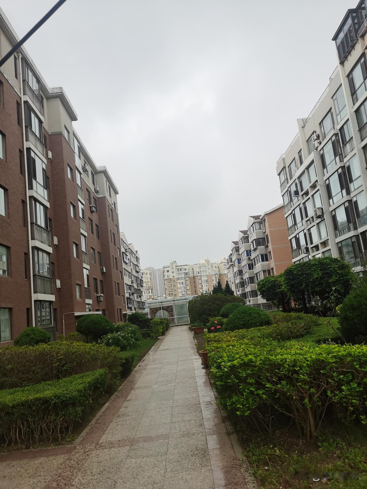 昨夜中雨
文/滨城老龙
云雾遮楼水气低
龙公试手洒晶滴
须臾化作千丝乱
沐浴花枝