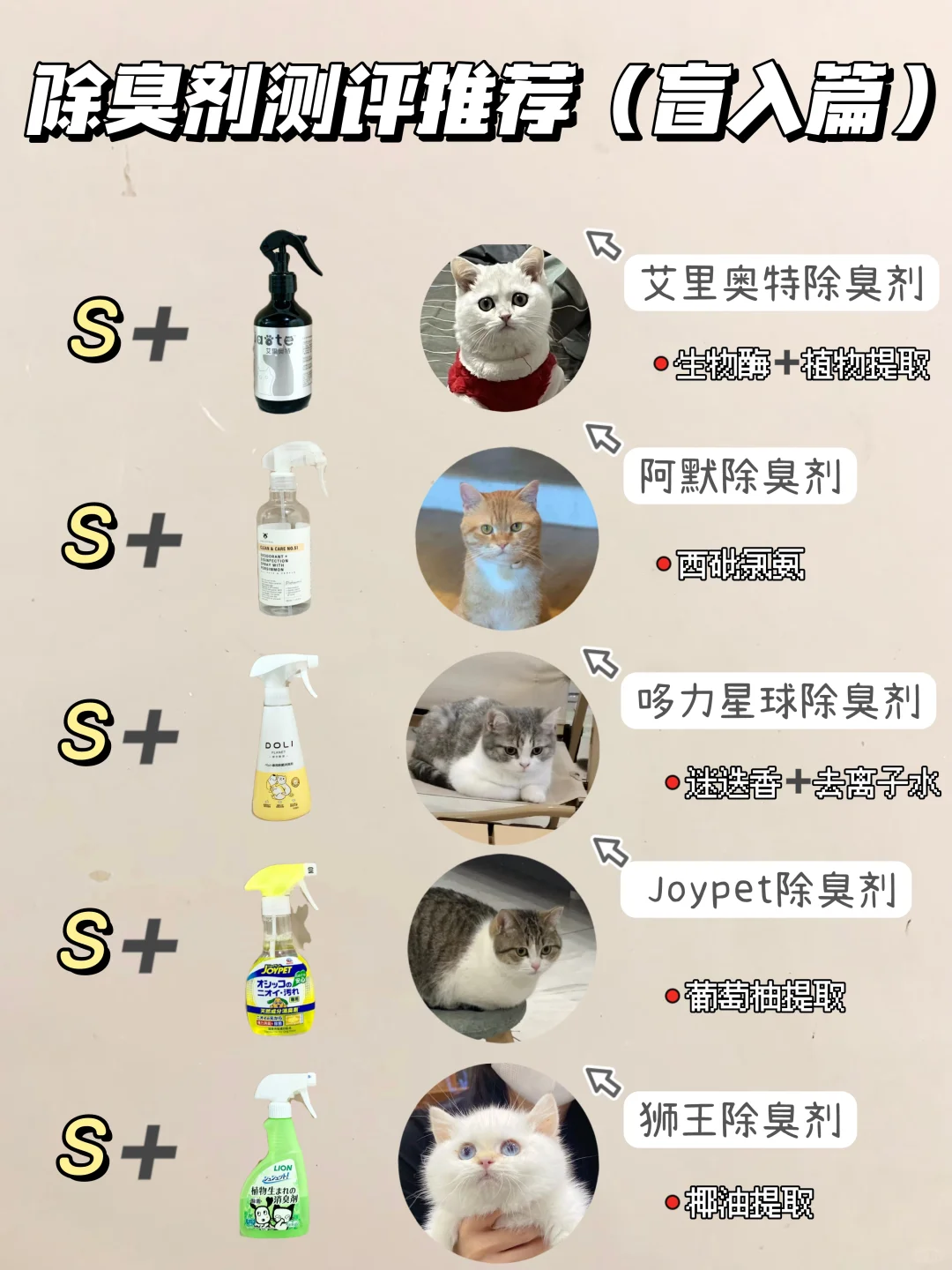 亲测！这几款猫咪除臭剂让我告别臭味儿小屋
