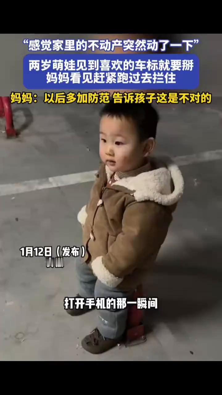 "感觉家里的不动产突然动了一下"，两岁萌娃见到喜欢的车标就要掰，妈妈看见赶紧跑过