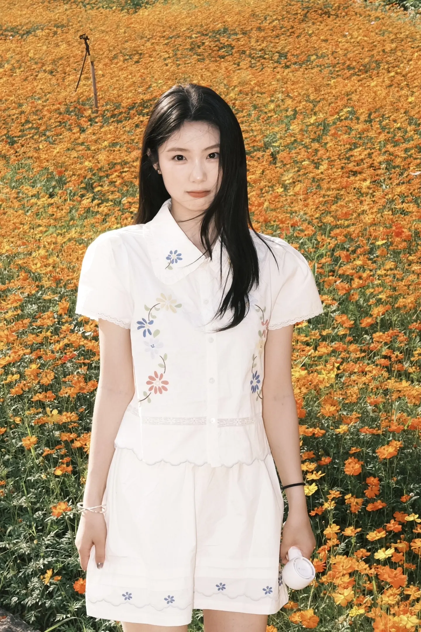 拍到花海咯。