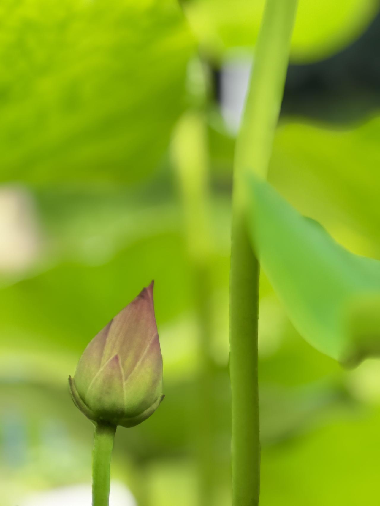 夏日生活打卡季