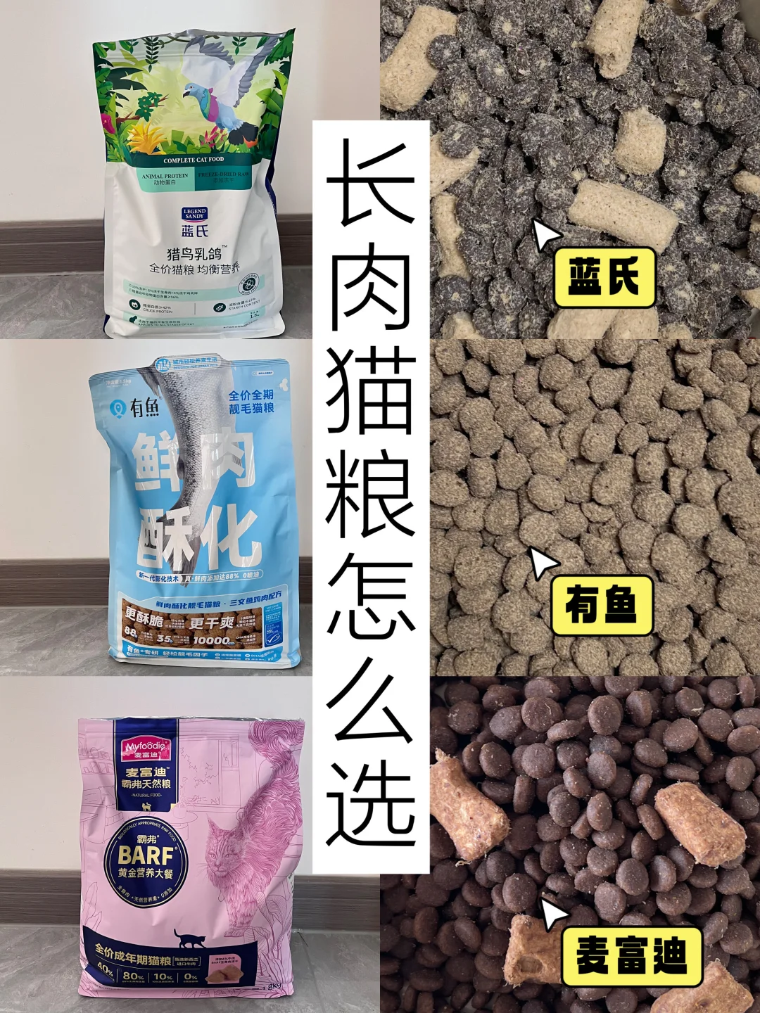 新手挑选长肉猫粮不踩雷 选对猫粮很重要