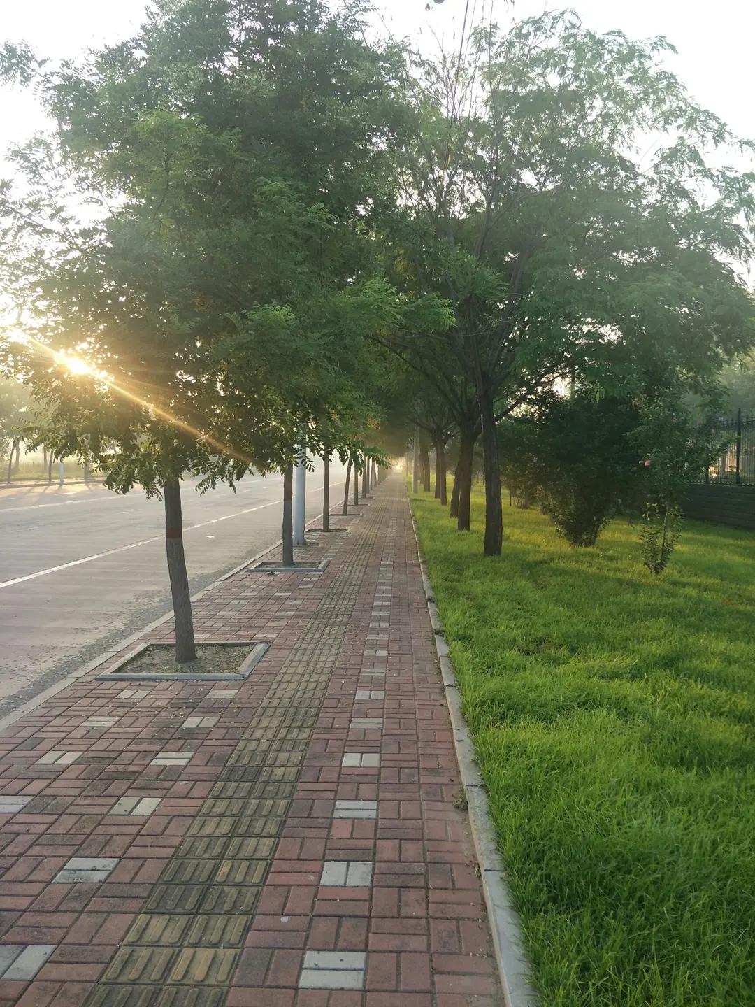 饭后百步走，活到99