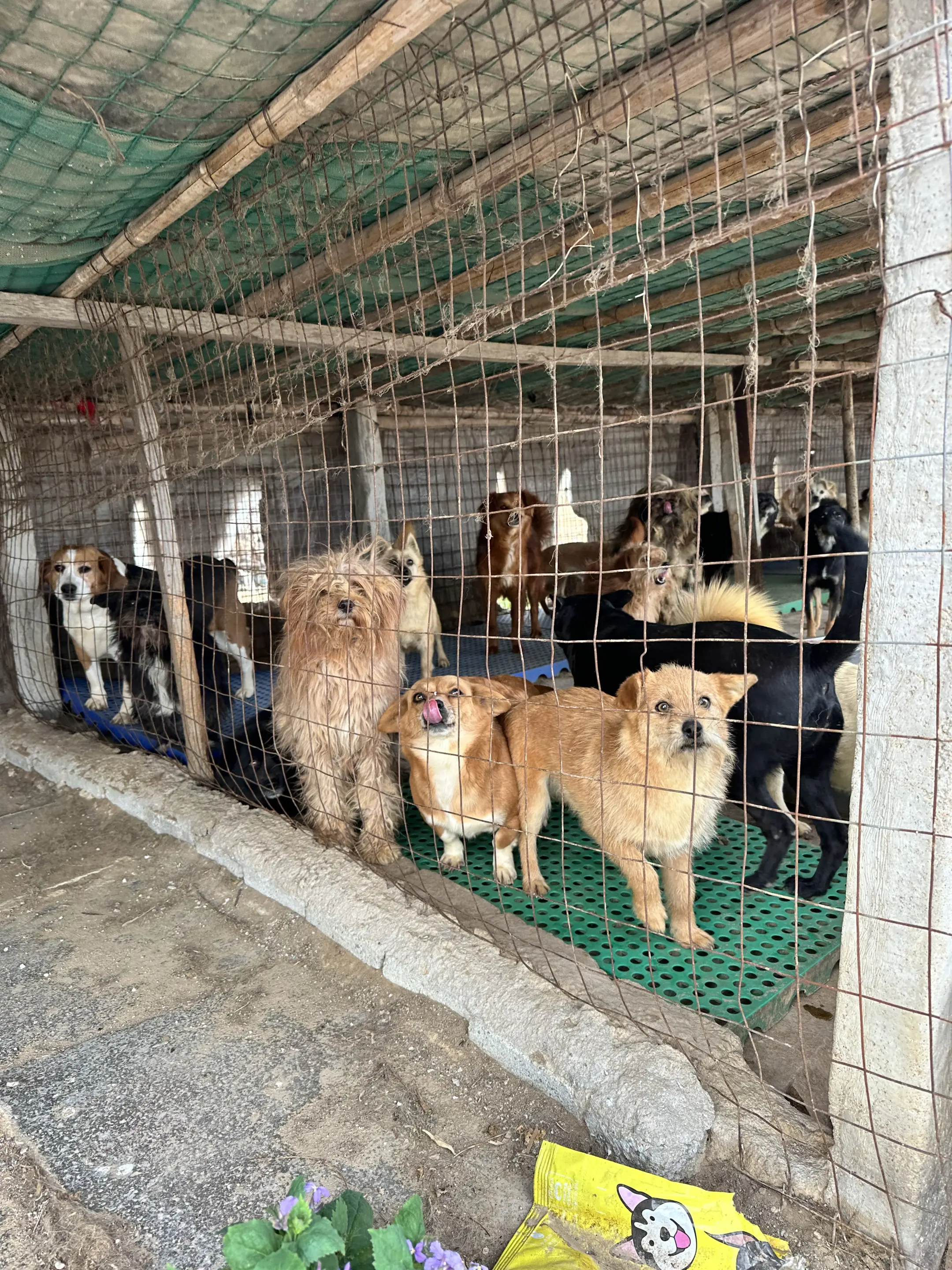 团购已经开启下单，发送核销码即可帮助。真的救不动了，太难了