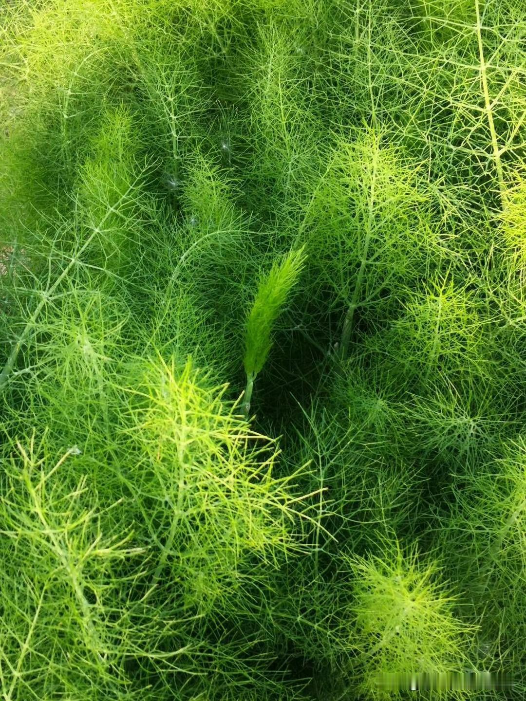 退休后目标整块地