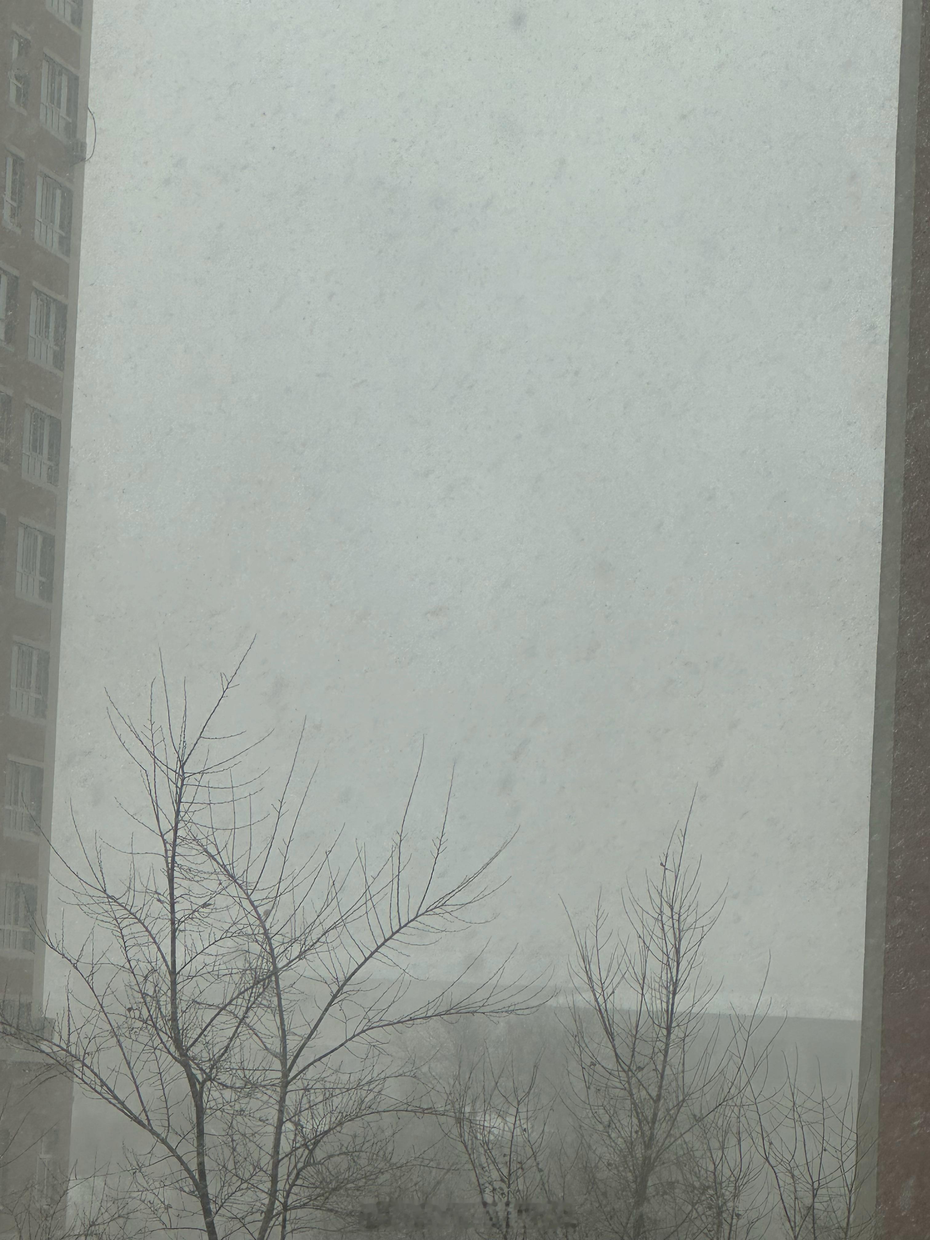 你们那里在下什么啊、我这里在下鹅毛大雪