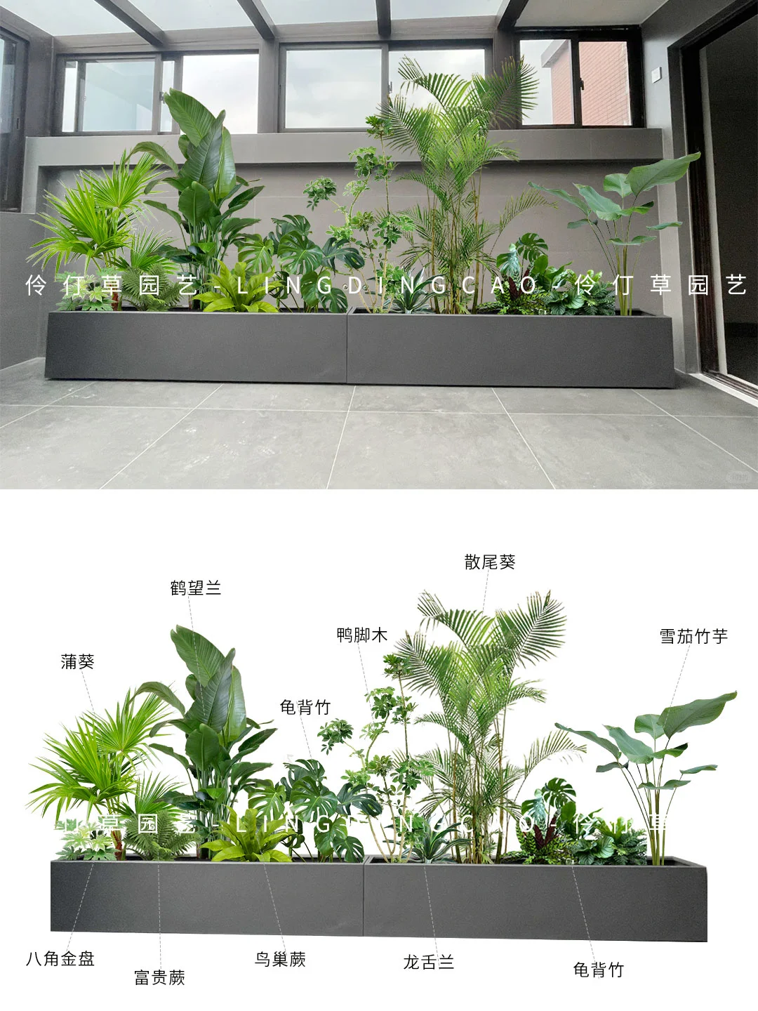 🌸这个网红花坛太美了| 含种植清单！