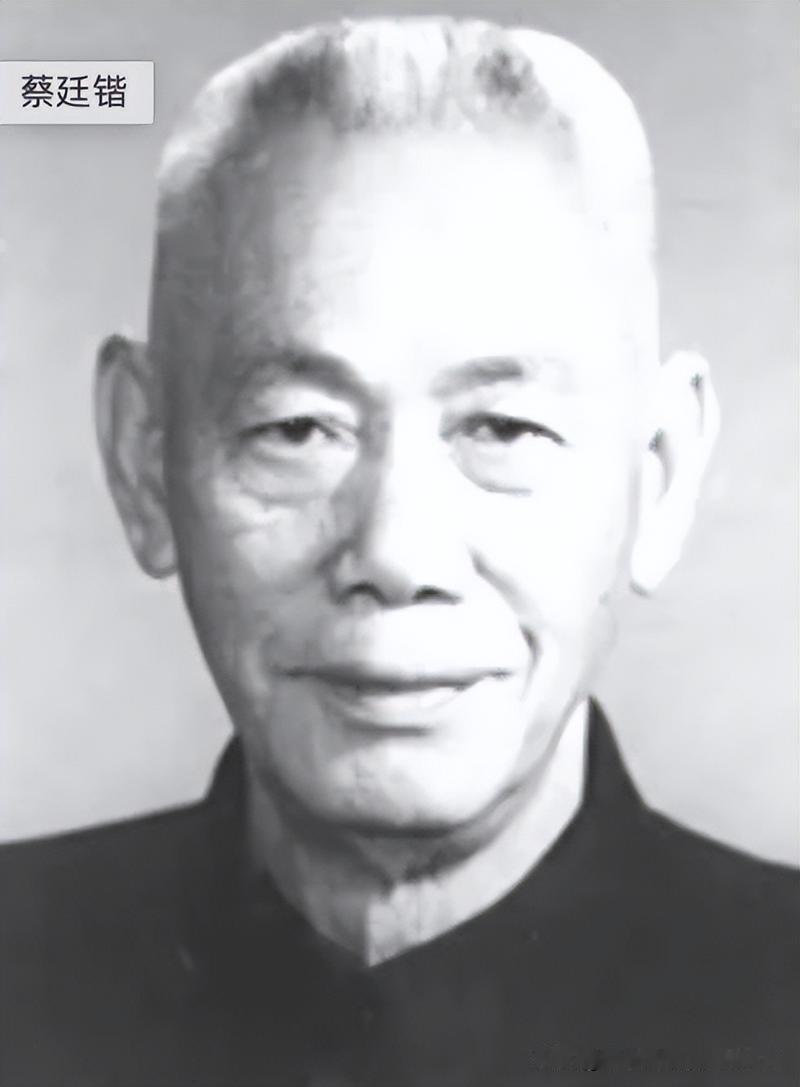 蔡廷锴：抗战中因对日军太残忍遭质疑，解放后却因对士兵仁爱闻名。
 
一位身经百战