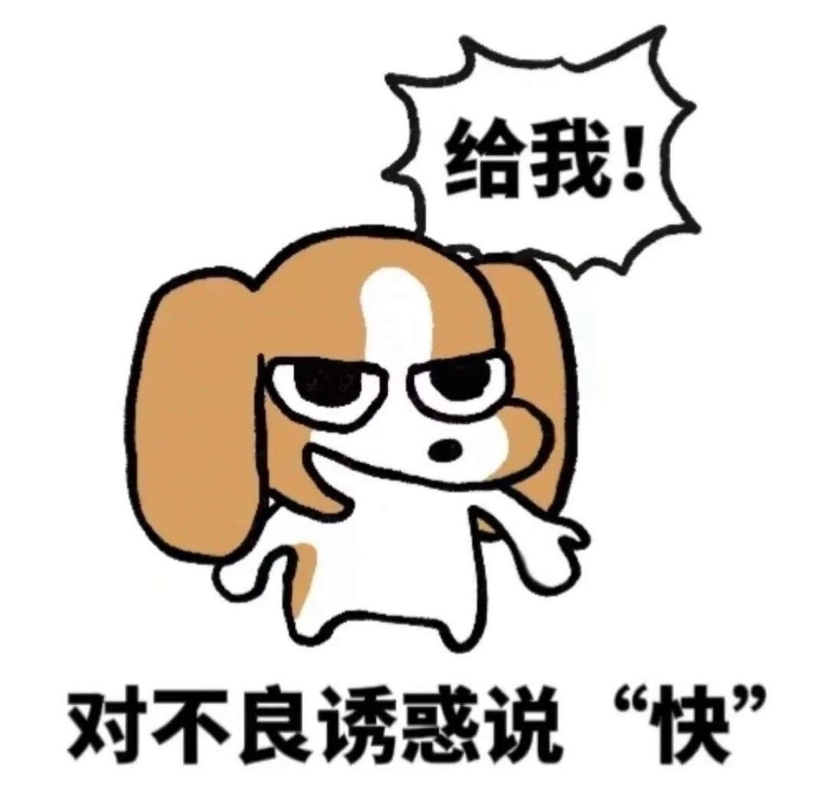 强哥是扇类啊 ​​​